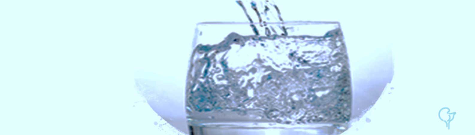 Infecciones urinarias en la mujer