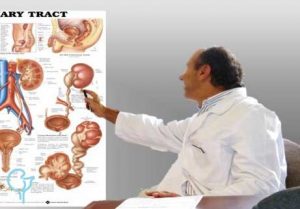 Información descriptiva