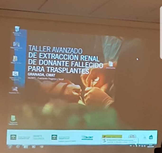 Taller avanzado de extracción renal